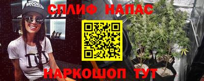 стаф Пушкино