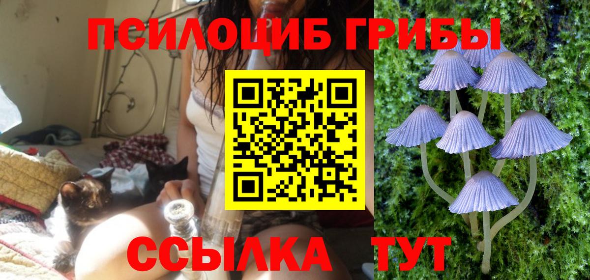 Сосновоборск  ГАШ  КОКАИН  МАРИХУАНА  Меф МЯУ МЯУ кристаллы  Вход с VPN  Гашиш  ГЕРОИН 