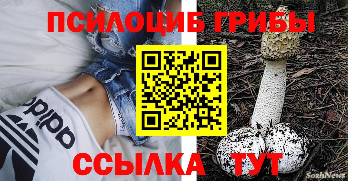 Псилоцибиновые грибы прущие грибы Сосновоборск